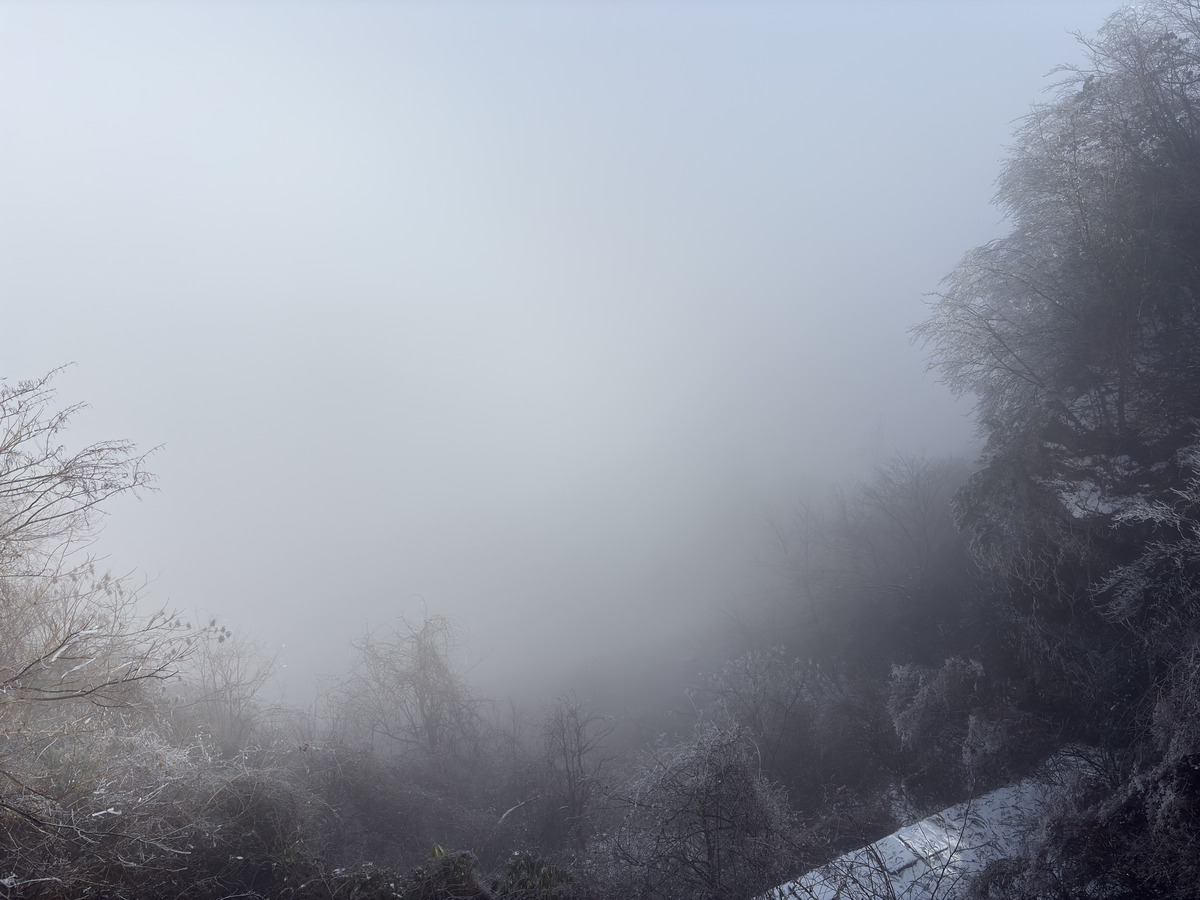 Picture China Zhangjiajie Tianzi Mountrain 2026-01 58 - Weather Tianzi Mountrain