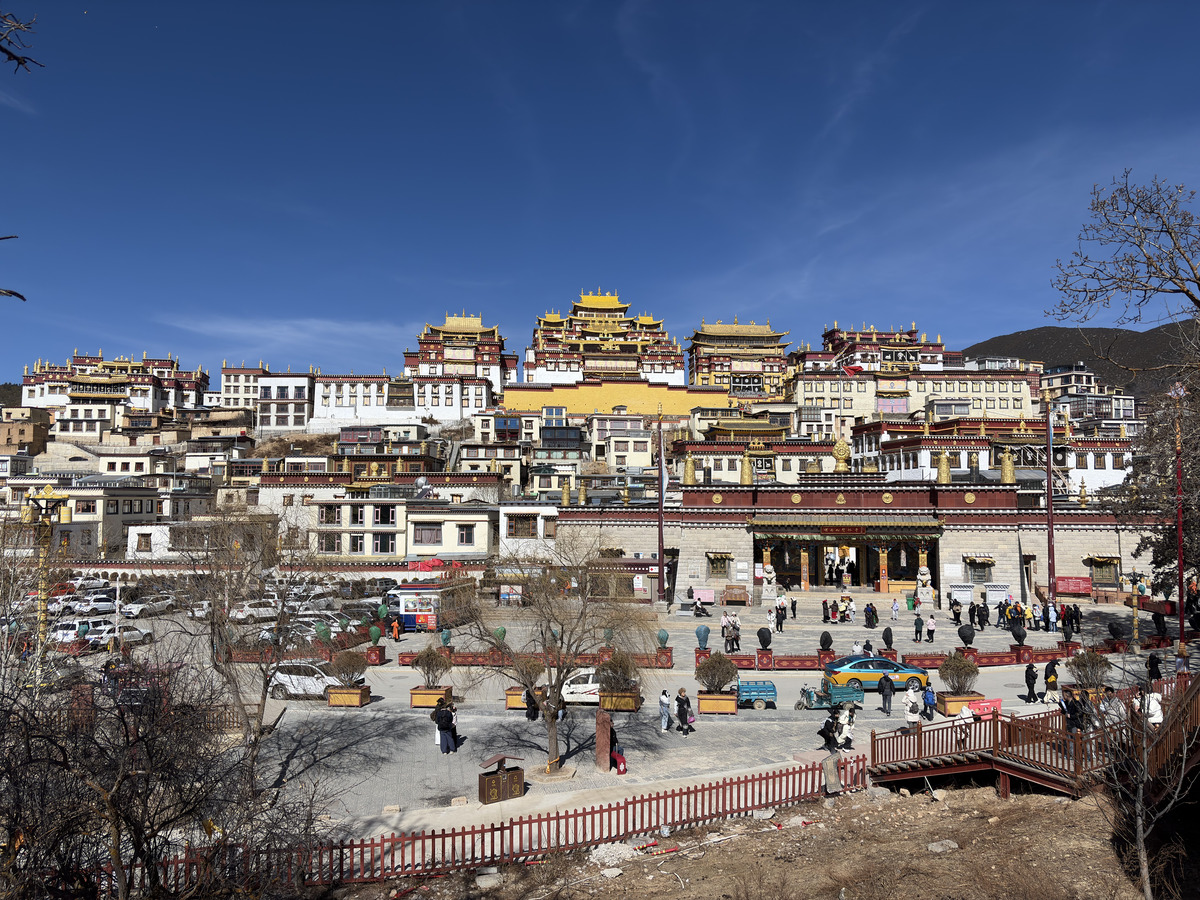 Picture China Shangri La 2026-01 378 - Saving Shangri La