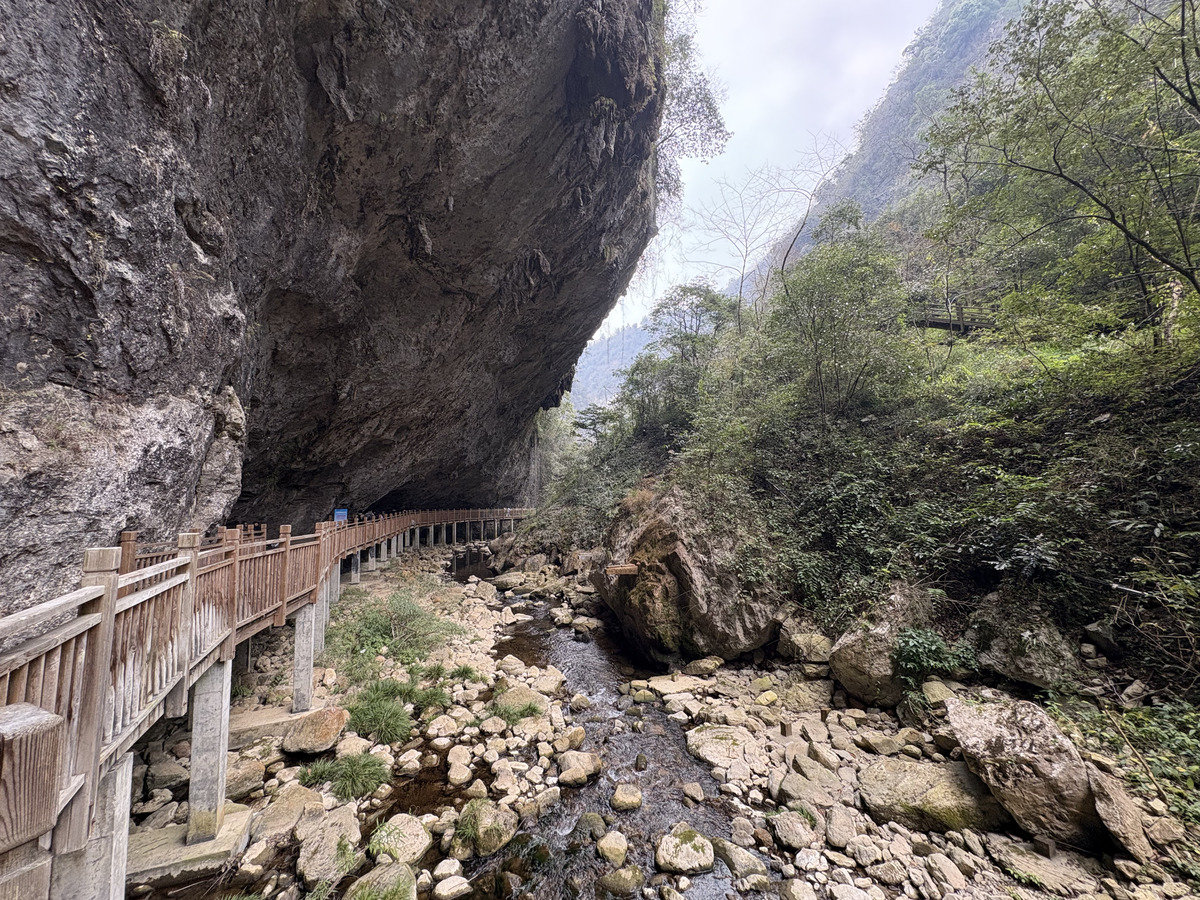 Picture China Zhangjiajie Grand Canion 2026-01 63 - Winter Grand Canion