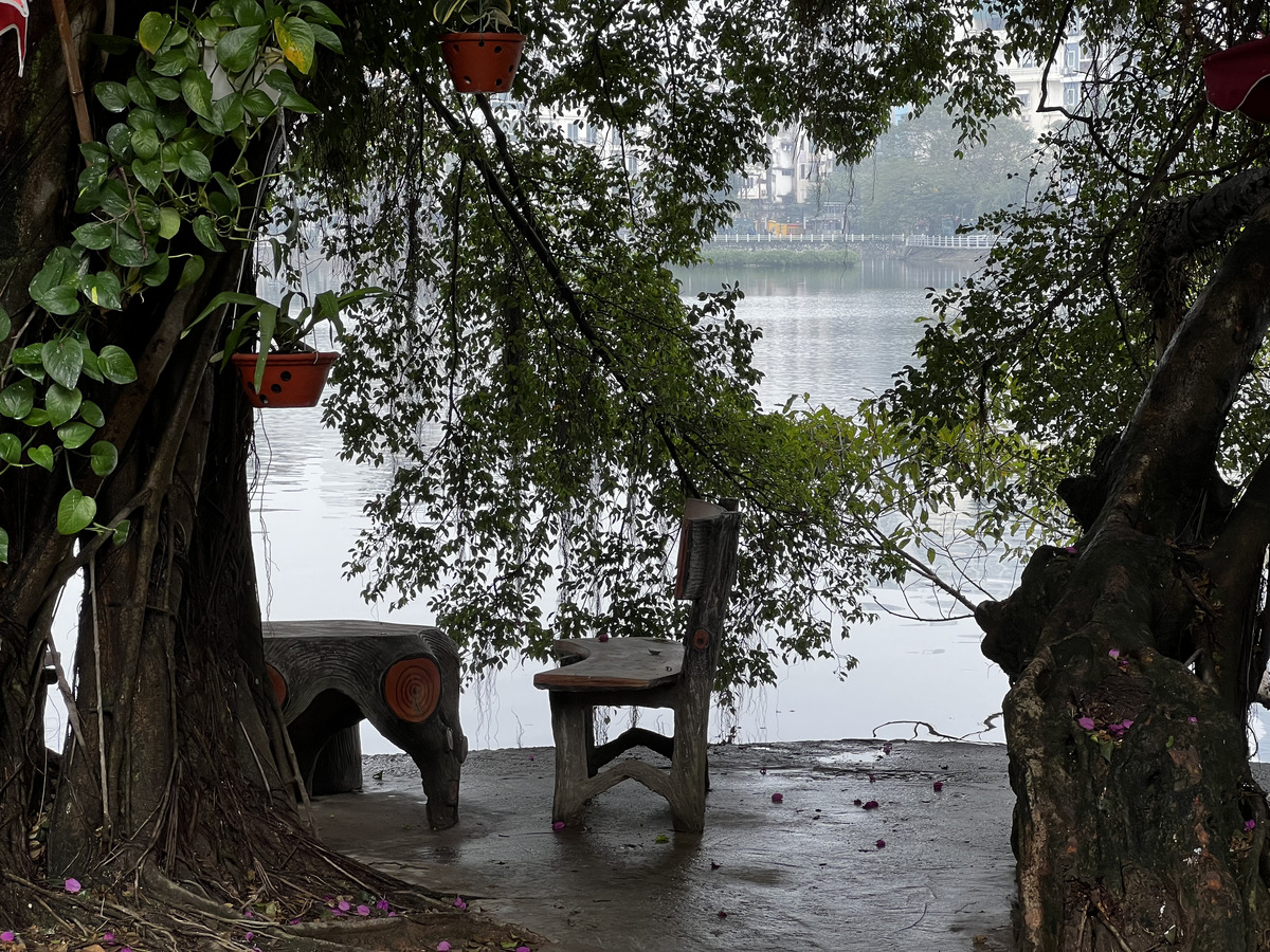 Picture Vietnam Hanoi Tay Lake 2024-01 12 - Saving Tay Lake