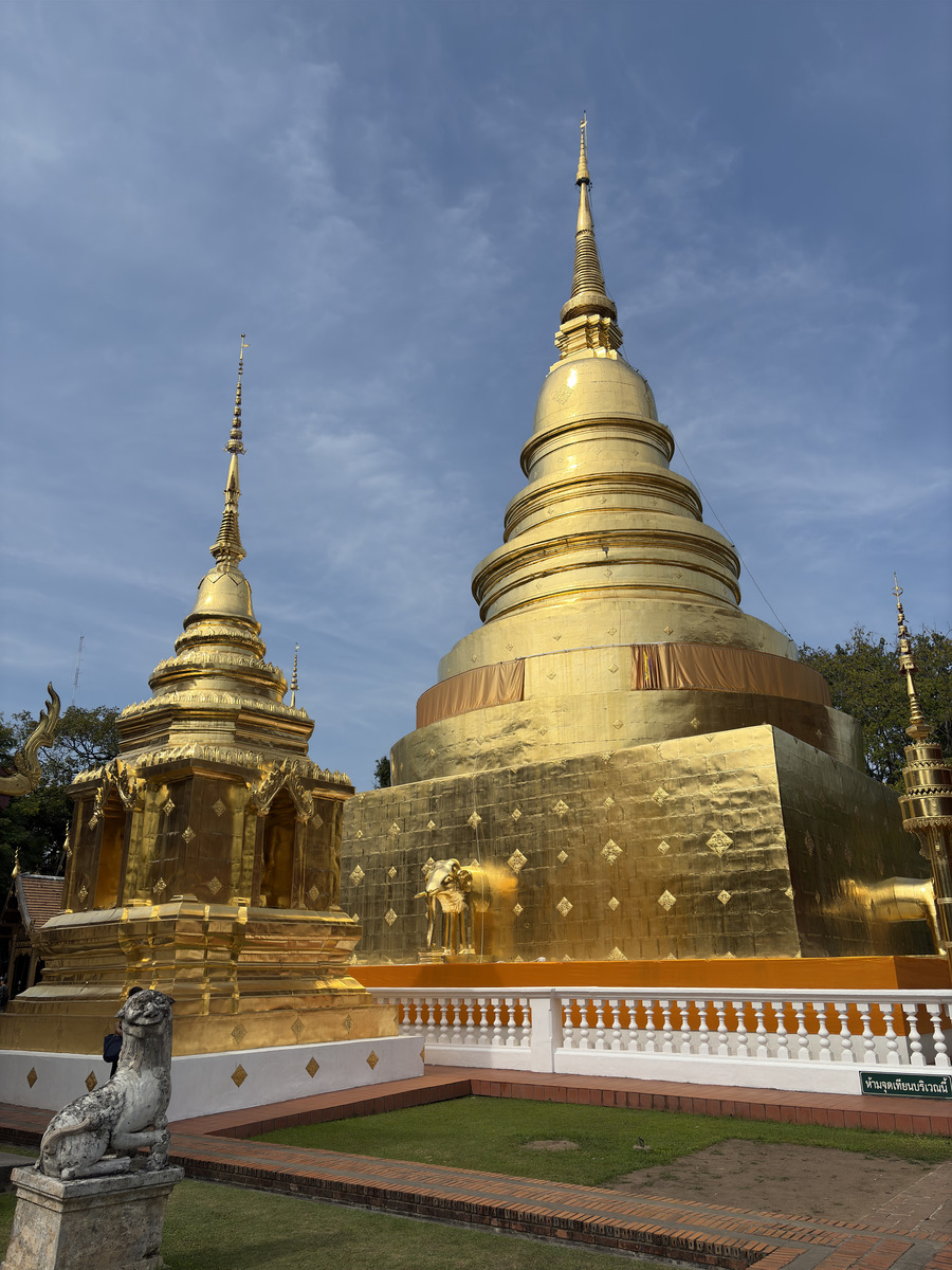 Picture Thailand Chiang Mai 2024-12 144 - Saving Chiang Mai