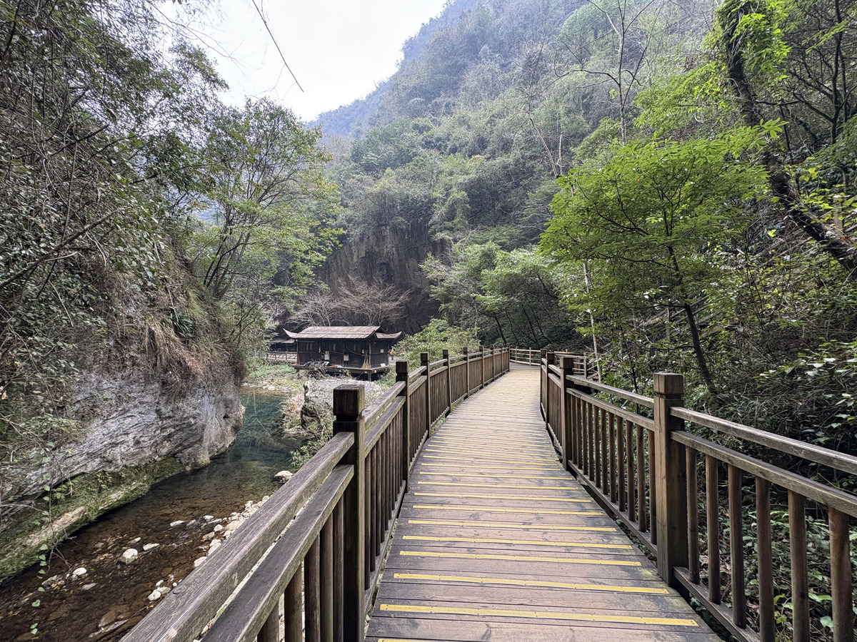 Picture China Zhangjiajie Grand Canion 2026-01 83 - Cheap Room Grand Canion