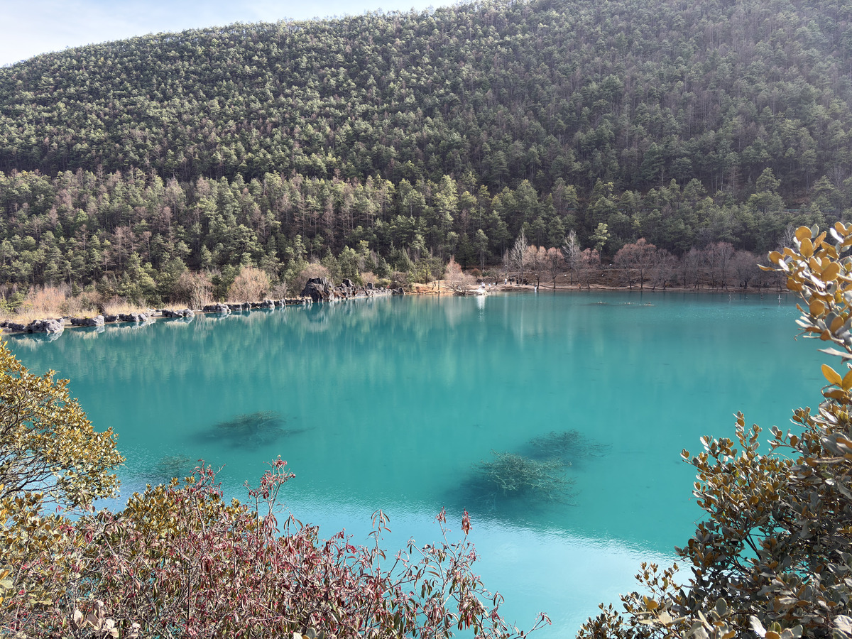 Picture China Lijiang Blue moon valley 2026-01 112 - Winter Blue moon valley