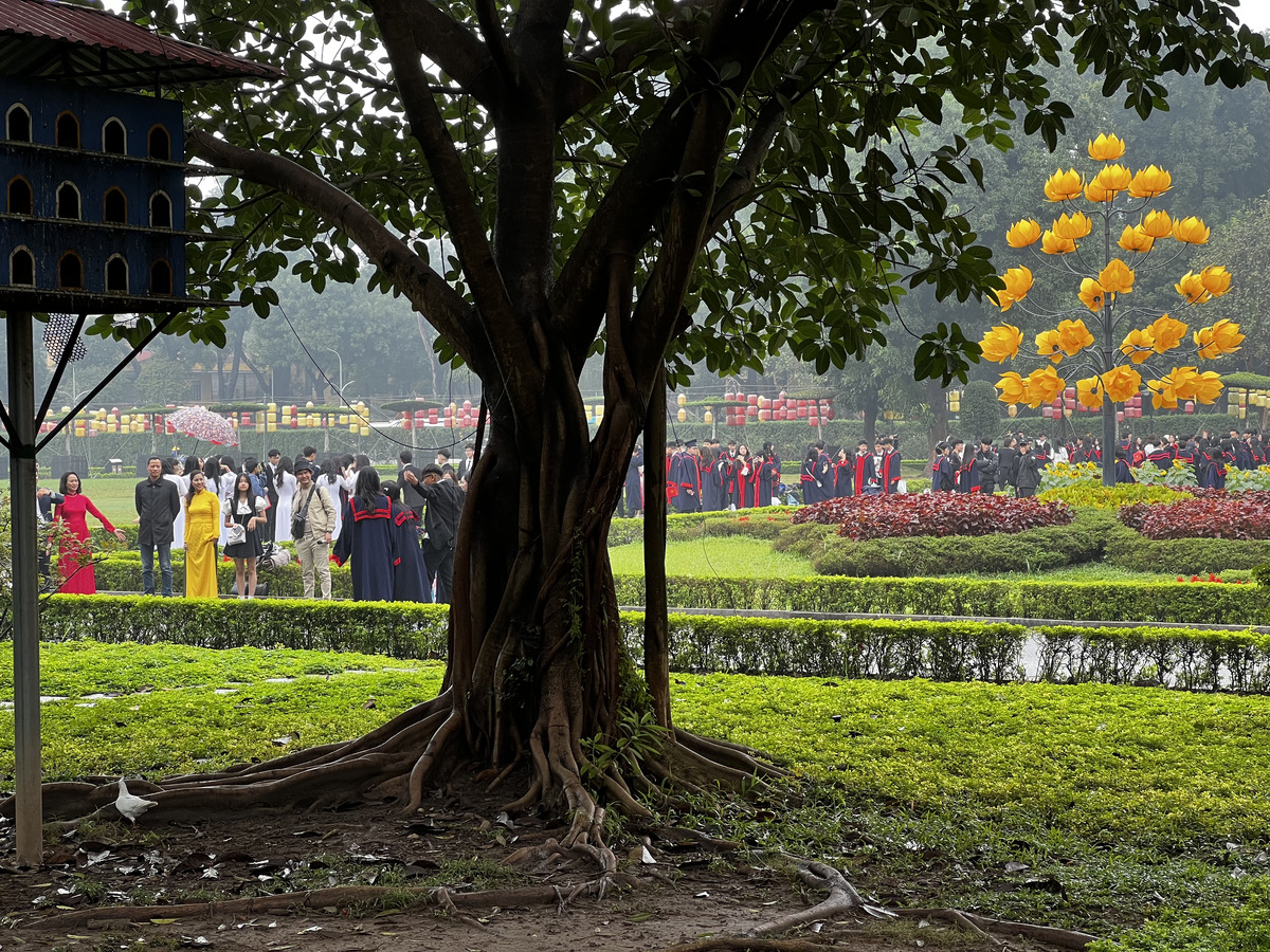 Picture Vietnam Hanoi Thang Long Citadel 2024-01 31 - Price Thang Long Citadel