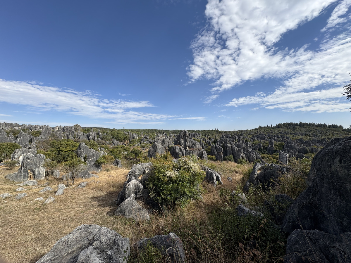 Picture China Shilin Stone Forest 2026-01 53 - Night Shilin Stone Forest