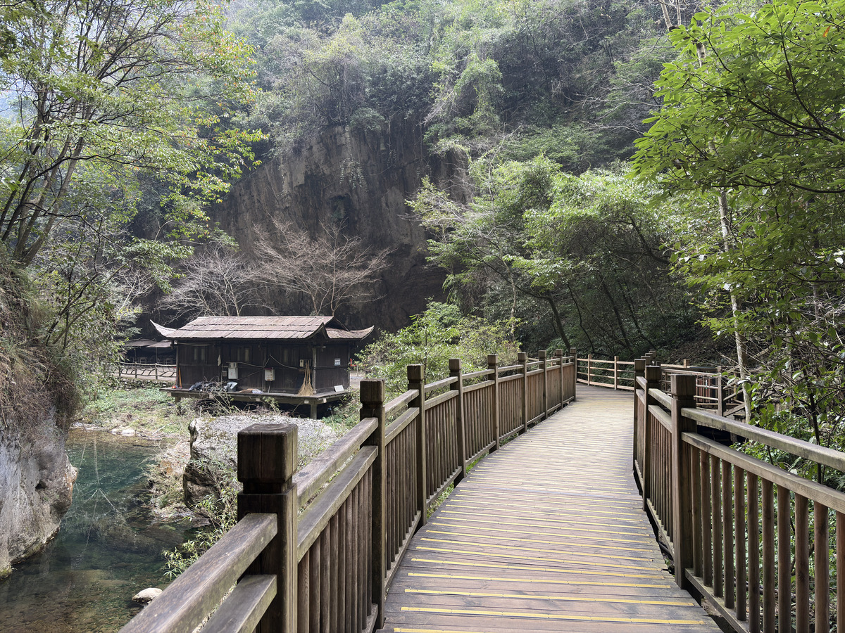 Picture China Zhangjiajie Grand Canion 2026-01 9 - Rain Season Grand Canion