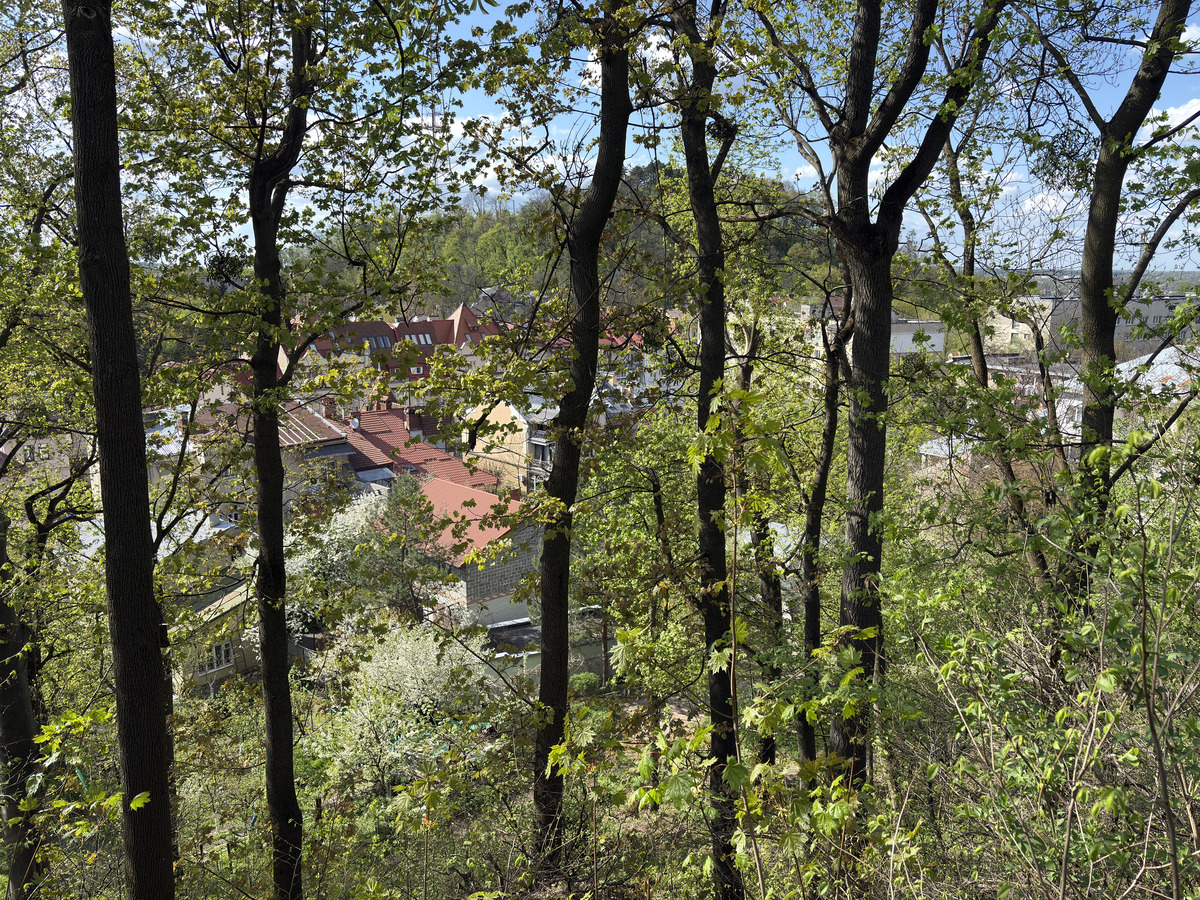 Picture Ukraine Lviv 2025-04 169 - Savings Lviv