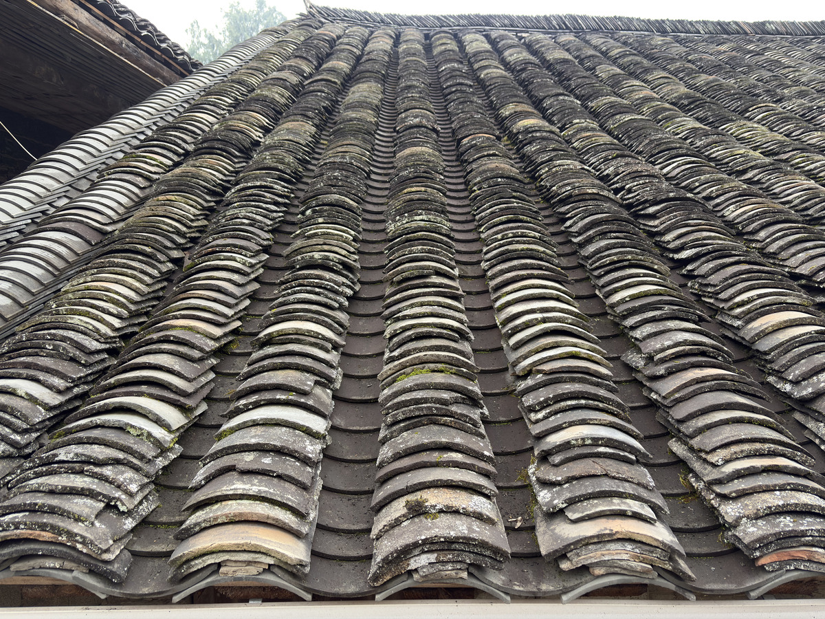Picture China Furong Ancient Town 2026-01 102 - To see Furong Ancient Town