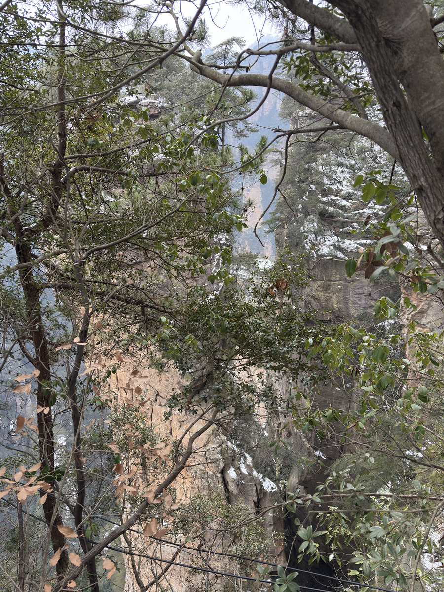 Picture China Zhangjiajie 2026-01 55 - Weather Zhangjiajie