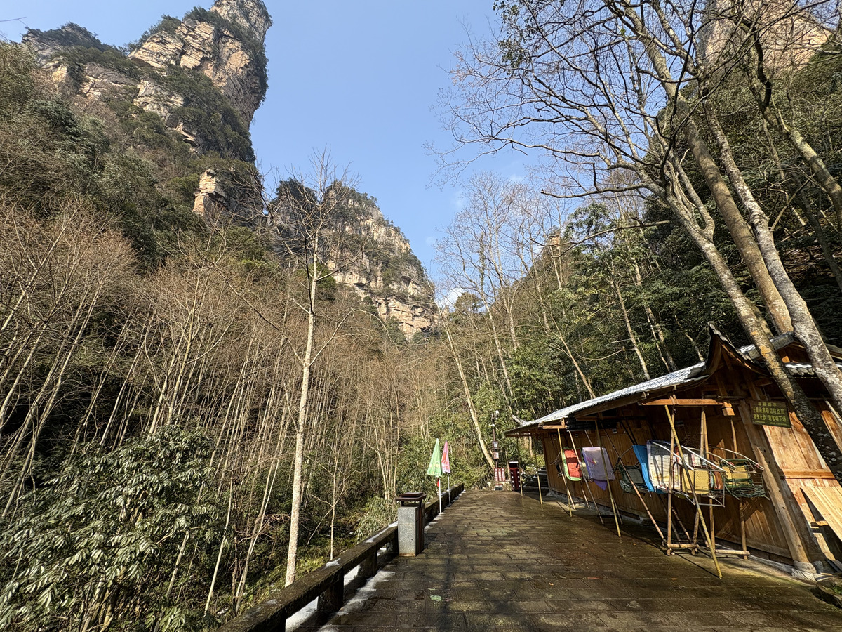 Picture China Zhangjiajie Tianzi Mountrain 2026-01 218 - Saving Tianzi Mountrain