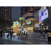 Picture China Shenzhen 2026-01 49 - Spring Shenzhen