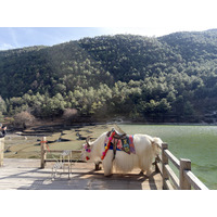 Picture China Lijiang Blue moon valley 2026-01 67 - Spring Blue moon valley