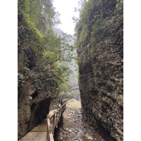 Picture China Zhangjiajie Grand Canion 2026-01 38 - Savings Grand Canion