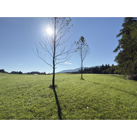 Picture Germany Surberg 2025-09 9 - Cost Surberg