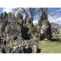 Picture China Shilin Stone Forest 2026-01 388 - Rental Shilin Stone Forest