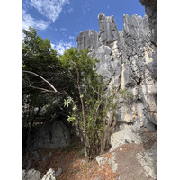 Picture China Shilin Stone Forest 2026-01 199 - City Sight Shilin Stone Forest