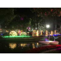 Picture Thailand Chiang Mai Nong Buak Haad Public Park 2024-01 49 - Rooms Nong Buak Haad Public Park