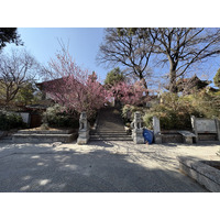 Picture China Lijiang 2026-01 852 - Savings Lijiang