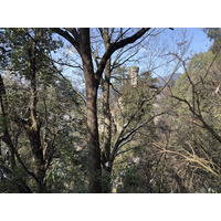Picture China Zhangjiajie Tianzi Mountrain 2026-01 319 - Cheap Room Tianzi Mountrain