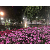Picture Thailand Chiang Mai Nong Buak Haad Public Park 2024-01 63 - Hotel Pool Nong Buak Haad Public Park
