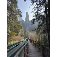 Picture China Zhangjiajie Tianzi Mountrain 2026-01 192 - Spring Tianzi Mountrain