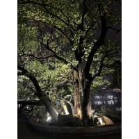 Picture Vietnam Hanoi Hoan Kiem Lake 2024-01 36 - Night Hoan Kiem Lake