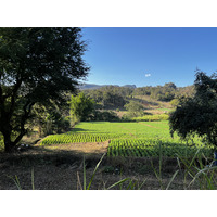 Picture Thailand Ban Wana Luang 2024-01 5 - City View Ban Wana Luang