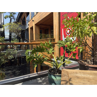 Picture Thailand Chiang Mai Kalm 2024-12 44 - French Restaurant Kalm
