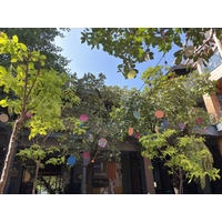 Picture Thailand Chiang Mai Kalm 2024-12 43 - Streets Kalm