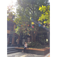 Picture Thailand Chiang Mai Kalm 2024-12 38 - Spring Kalm
