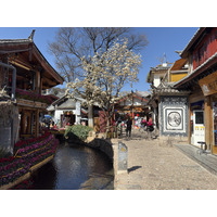 Picture China Lijiang 2026-01 279 - Saving Lijiang