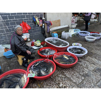Picture China Lijiang 2026-01 363 - Rentals Lijiang