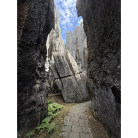 Picture China Shilin Stone Forest 2026-01 97 - SPA Shilin Stone Forest