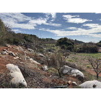 Picture China Shilin Stone Forest 2026-01 181 - SPA Shilin Stone Forest
