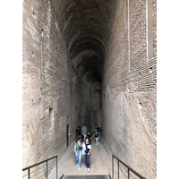 Picture Italy Rome Roman Forum 2024-09 26 - Cheap Room Roman Forum