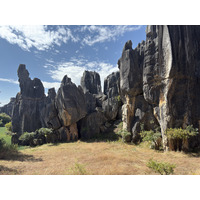 Picture China Shilin Stone Forest 2026-01 397 - SPA Shilin Stone Forest