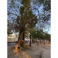 Picture Thailand Pattaya Dongtan beach 2025-12 28 - Winter Dongtan beach