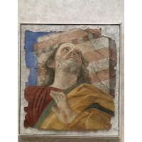 Picture Italy Rome Vatican Museum 2024-09 165 - Rain Season Vatican Museum