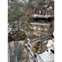 Picture China Zhangjiajie 2026-01 115 - Shopping Zhangjiajie