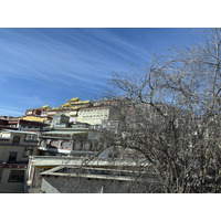 Picture China Shangri La 2026-01 381 - Price Shangri La