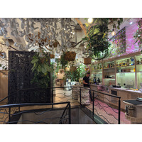 Picture Ukraine Lviv Restaurants 2024-10 102 - Resorts Restaurants