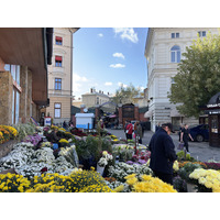 Picture Ukraine Lviv 2024-10 2 - Hotel Lviv