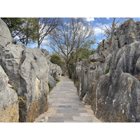 Picture China Shilin Stone Forest 2026-01 313 - Rain Season Shilin Stone Forest