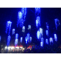 Picture Thailand Chiang Mai Nong Buak Haad Public Park 2024-01 36 - Price Nong Buak Haad Public Park