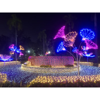 Picture Thailand Chiang Mai Nong Buak Haad Public Park 2024-01 57 - To see Nong Buak Haad Public Park