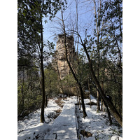 Picture China Zhangjiajie Tianzi Mountrain 2026-01 72 - Rental Tianzi Mountrain