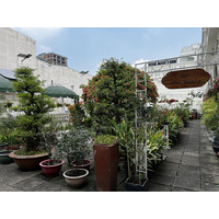 Picture Vietnam Saigon Continental Hotel 2024-01 6 - Savings Continental Hotel