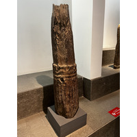 Picture Vietnam Ho Chi Min City History Museum 2024-01 126 - Savings Ho Chi Min City History Museum