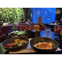 Picture Ukraine Lviv Restaurants 2024-10 150 - City View Restaurants