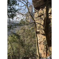 Picture China Zhangjiajie Tianzi Mountrain 2026-01 298 - Night Tianzi Mountrain